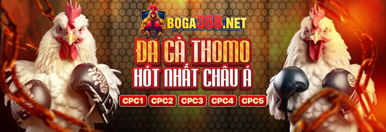 Hình ảnh chính của trang Tuân thủ GDPR của bet8888 win