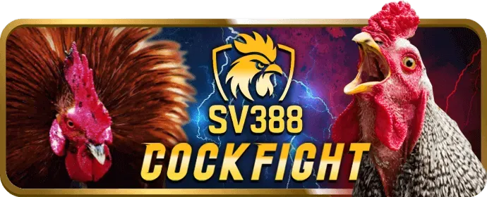 Trò chơi bắn cá bet8888 win